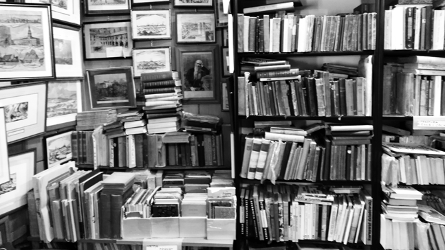 el infinito en un junco, librería antigua