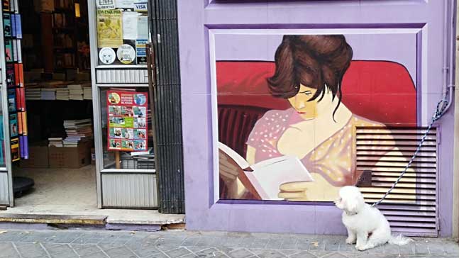 fachada de libreria con un perro